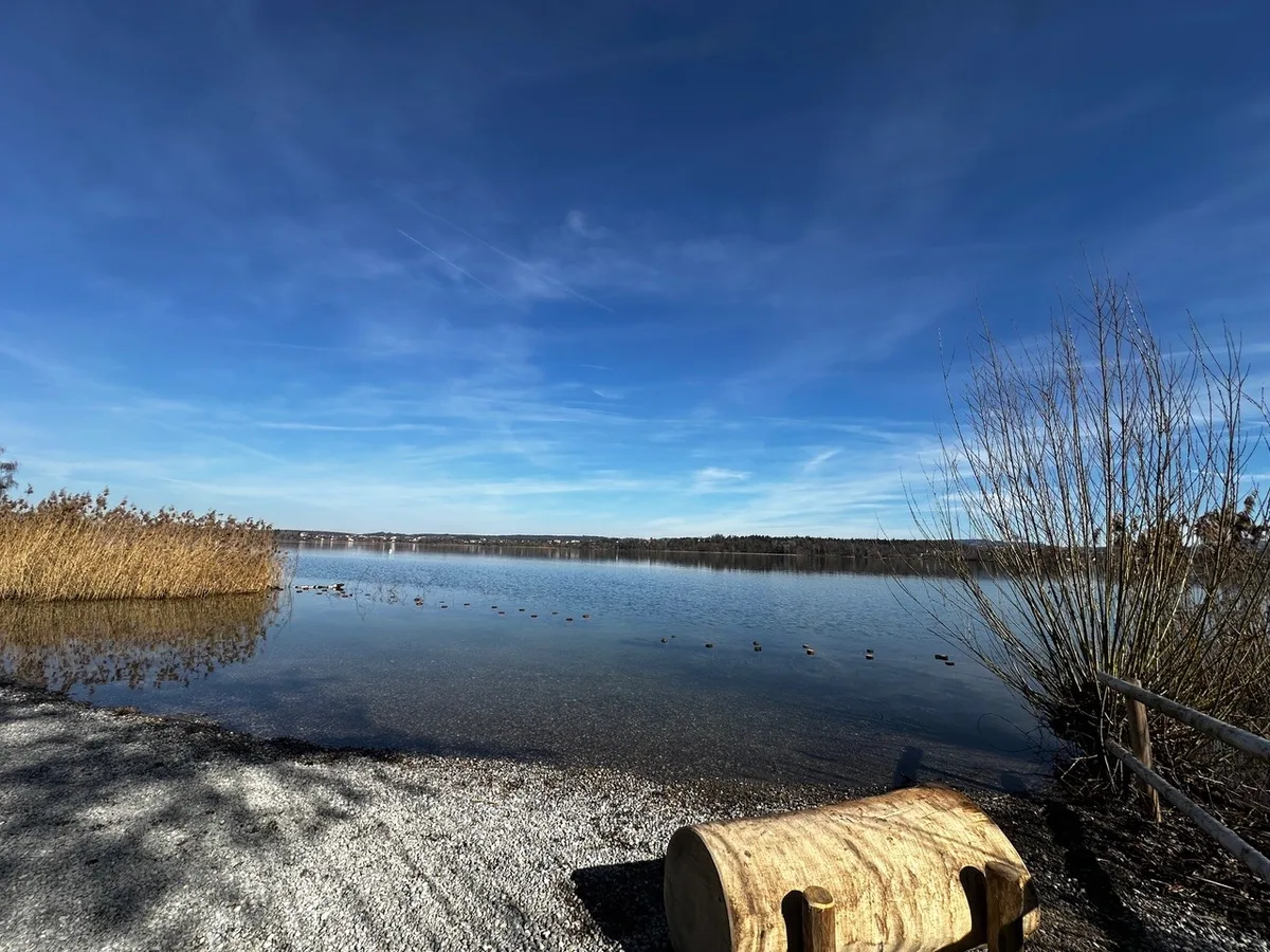 Man sieht ein Ufer in Maur am Greifensee.
